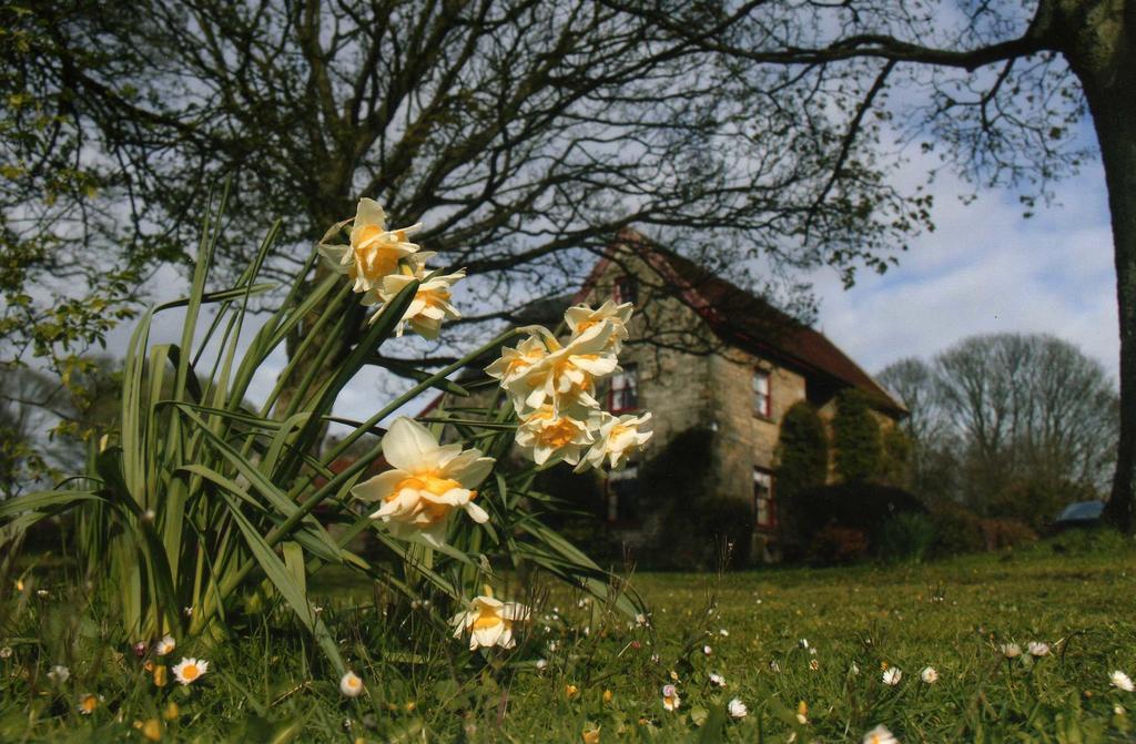 High Farm B&B Pickering Kültér fotó